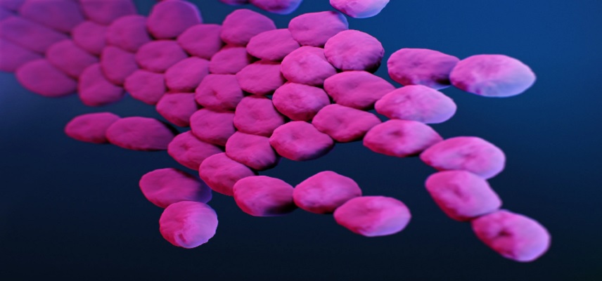 One Up, One Down: Allecra Scores FDA Nod for Antibiotic Combo After Venatorx Hit with Rejection